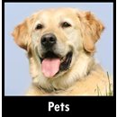 Pets