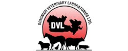 DVL