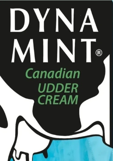 Dynamint