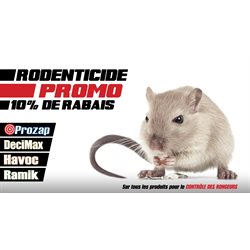 Placement Rodenticide 2025