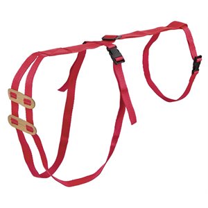 Prolapse Harness for Sheep
