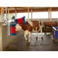 Brosse à vaches HAPPYCOW Duo