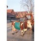 Dispositif lève-vache en PVC capacité 1000 kg