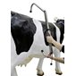 Entrave FlexCow