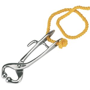 Bull Lead with Cord
