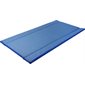 Disinfection Mat Standard 180 x 90 x 4 cm
