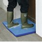 Entrance Disinfection Mat 85 x 60 x 3 cm