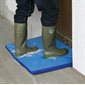 Tapis désinfectant d'entrée 55 x 45 x 3 cm