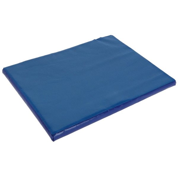 Tapis désinfectant d'entrée 55 x 45 x 3 cm