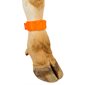 Chevillière plastique Euro, vierge, orange