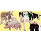 Marqueur pour queue inversé AERVOE 15 oz / 425g