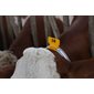 Plaquettes de marquage pour la nuque, vierge, jaune, emb / 25