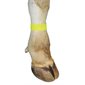Chevillières velcro, jaune, emb / 10