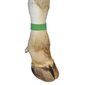 Velcro Leg Bands, Green, pk / 10