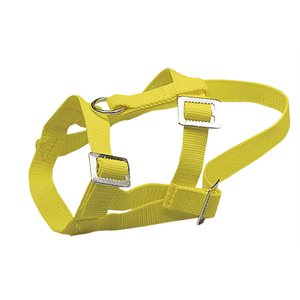 Adjustable nylon sheep halter