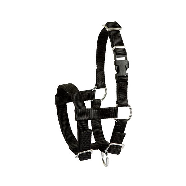 Adjustable Nylon Halter for Alpaga