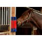 Semi-Circular Scratch Brush Blue & Red