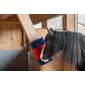 Semi-Circular Scratch Brush Blue & Red, XL