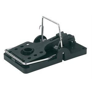 CIT rat trap Snapper