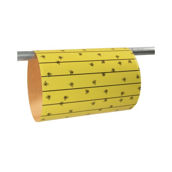 CIT FLYMASTER Feuilles attrape-mouches, 30 x 59.5 cm, emb / 6