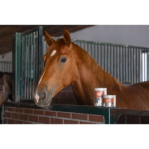 MagicBrush Leather Grease 450 ml
