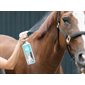 MagicBrush ManaCare spray lustrant 