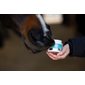 MagicBrush Lucky Lips baume à lèvres chevaux, 150 ml