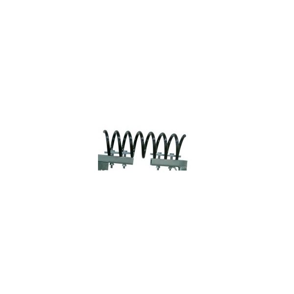 Spring for Texas Cattle Brush