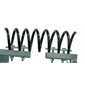 Spring for Texas Cattle Brush