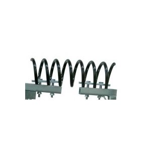 Spring for Texas Cattle Brush
