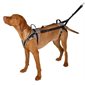 Harnais de transport Travel Protect longueur 26 - 29 cm