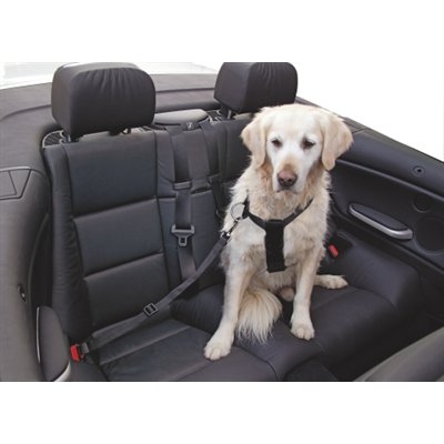 Sangle de sécurité pour chien 70 - 90 cm Sangle de sécurité pour chien 70 - 90 cm