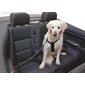 Sangle de sécurité pour chien 70 - 90 cm