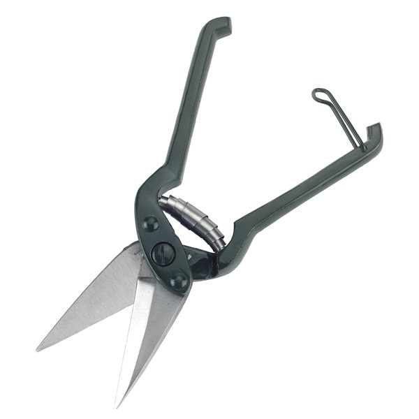 Cisaille onglons KERBL 26 cm