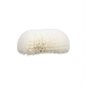 Bulk Tank Brush White - 4.5 × 10.5 × 3.5''