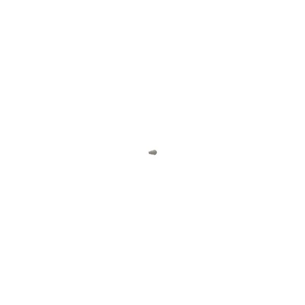Embout raccord intranasal HSW (porc) emb / 10