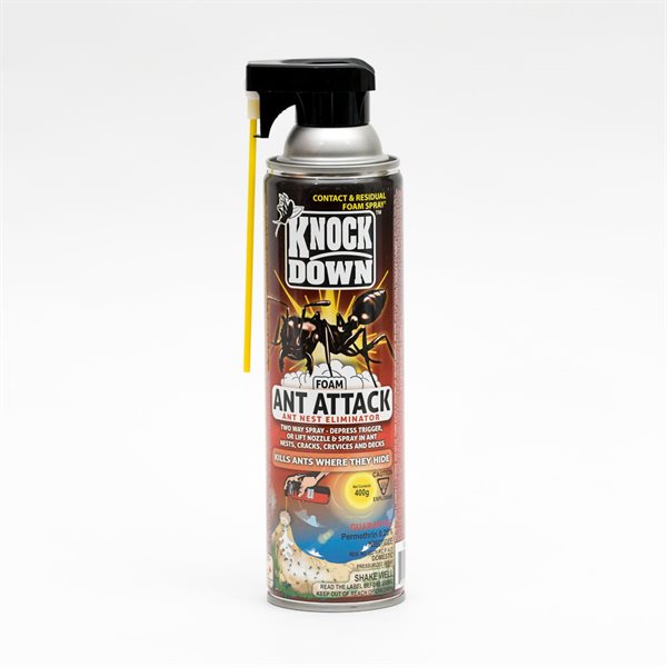 ANT ATTACK Foam, 400 g