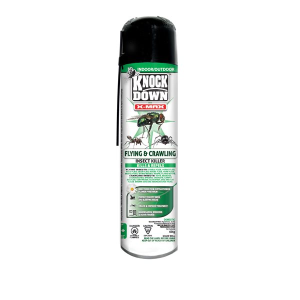 Knock Down X-Max insectes volants & rampants, 454 g