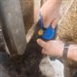 Couteau Wrapid-CUT pour bandage