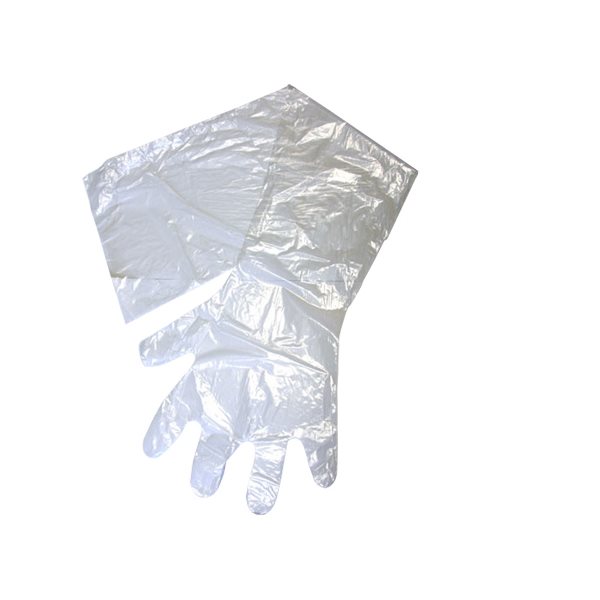 Gants OB / IA IDEAL transparent, 1.25 mil. emb / 10