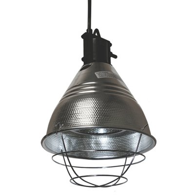 IDEAL Halogen Lamp Holder Hi / Lo