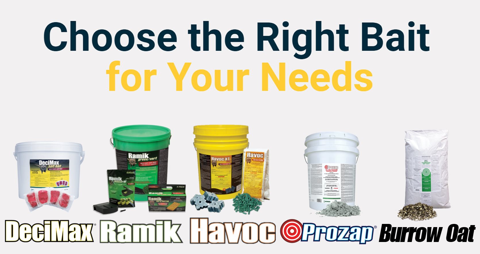 Choose the right bait
