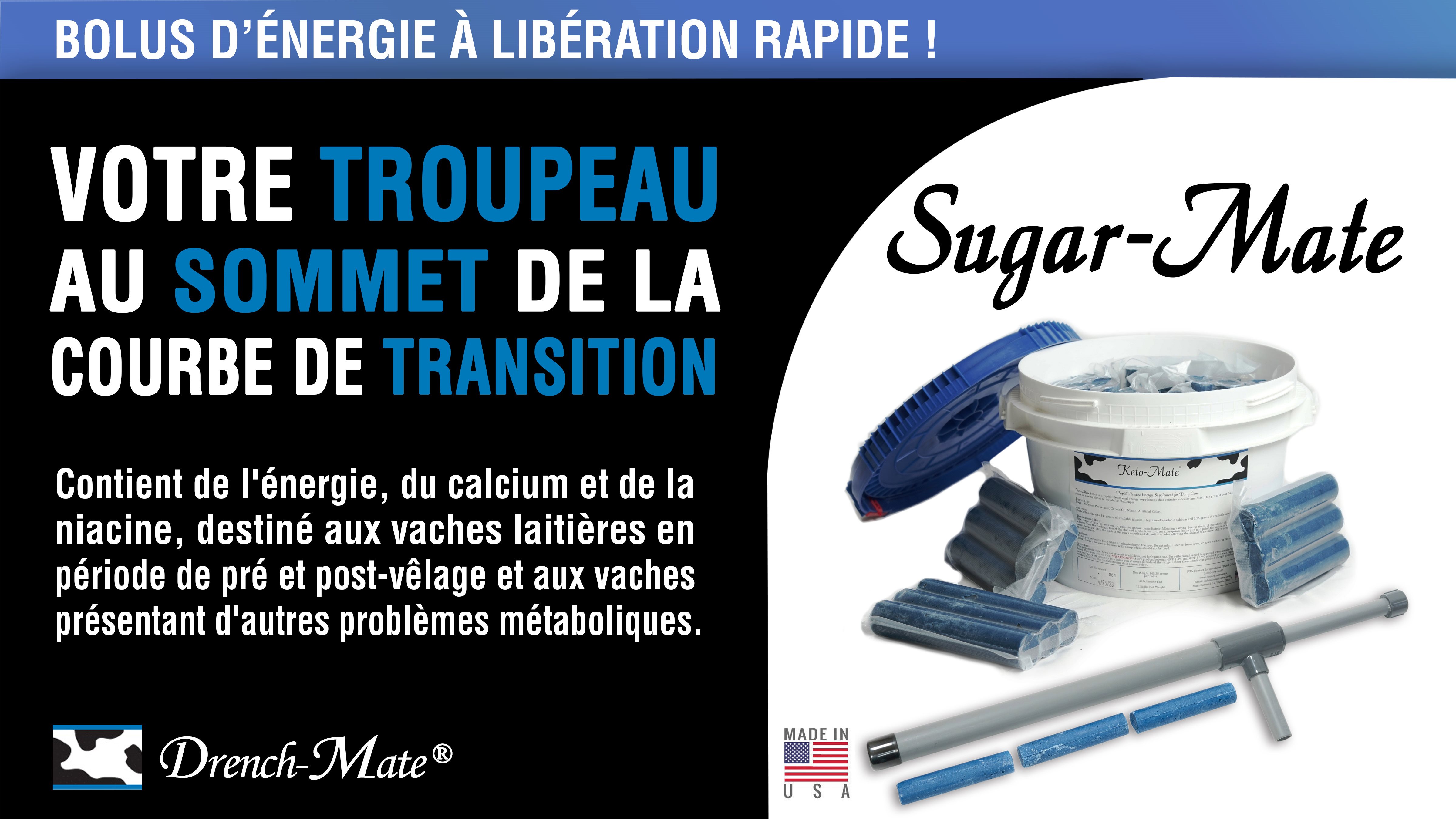 Banniere_web_sugar_mate_FR Banniere_web_sugar_mate_FR